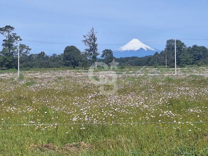 Exclusivos terrenos a 4 km de P. Octay - Sin comisión!!