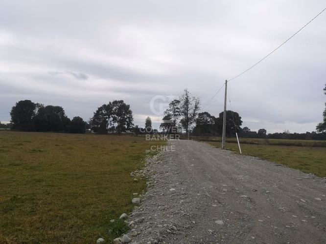 Exclusivos terrenos a 4 km de P. Octay - Sin comisión!!