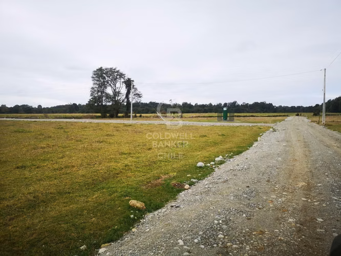 Exclusivos terrenos a 4 km de P. Octay - Sin comisión!!