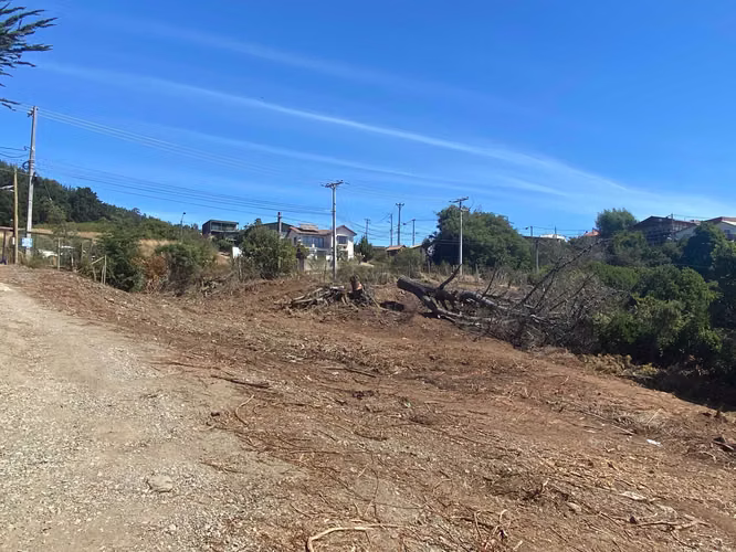 Pelluhue terrenos urbanos desde 300m2 (116741)