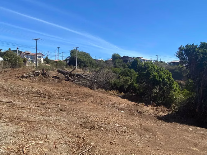 Pelluhue terrenos urbanos desde 300m2 (116741)