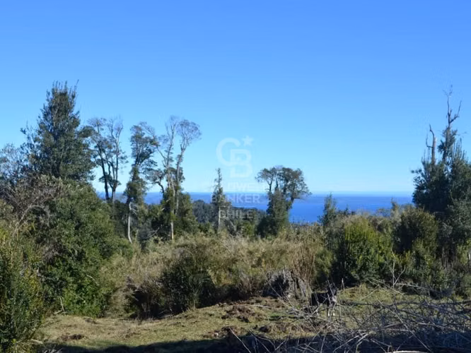 Parcela Ecológica con Vistas y Fauna Única en Ñilque