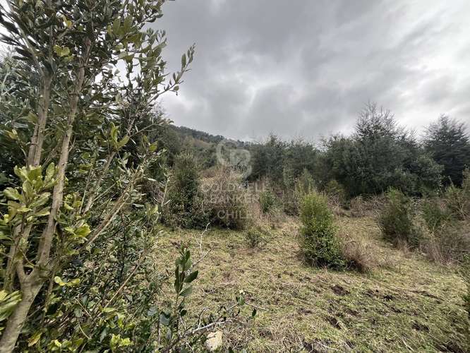 Campo  con hermosa vista al Lago Ranco.
