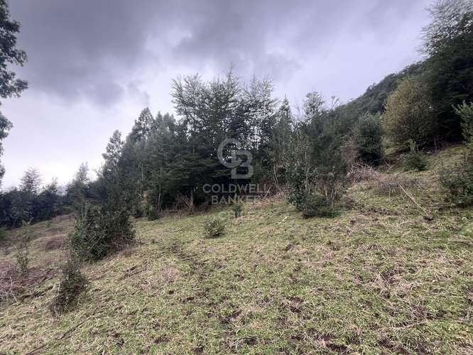 Campo  con hermosa vista al Lago Ranco.