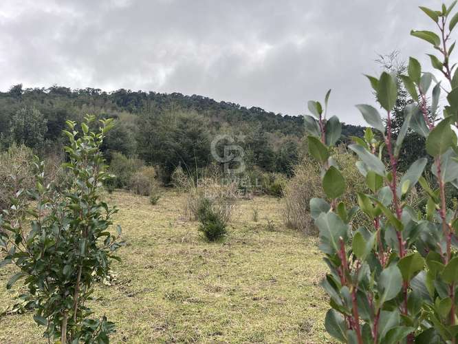 Campo  con hermosa vista al Lago Ranco.