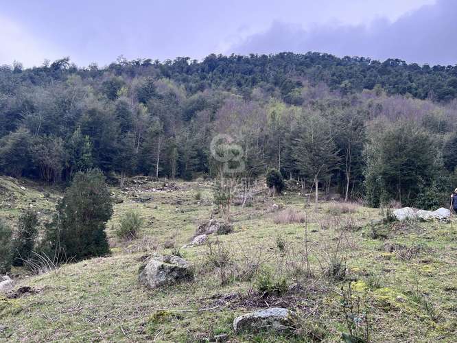 Campo  con hermosa vista al Lago Ranco.