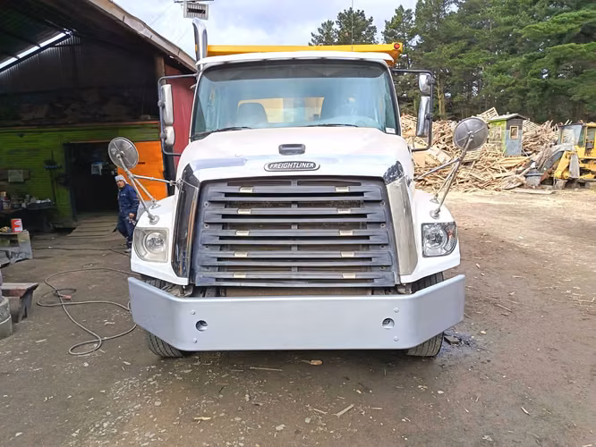 FREIGHTLINER  TOLVA SD 114 617 AÑO 2019