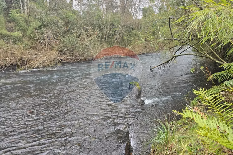 Venta parcelas ideal para inversión, villarrica