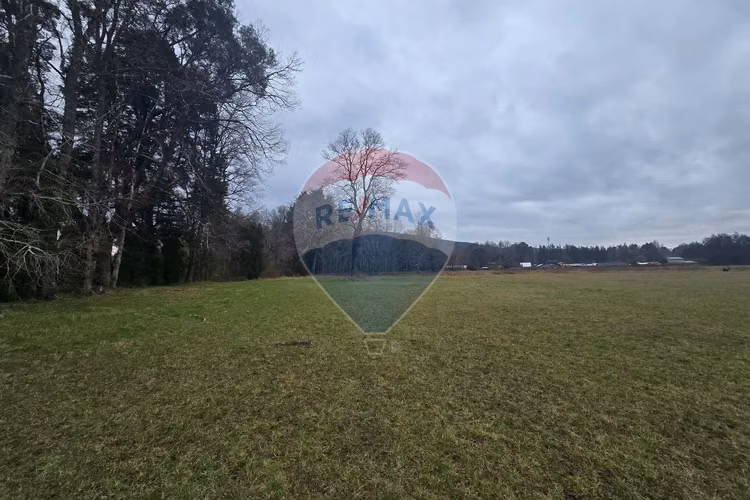 Venta parcelas ideal para inversión, villarrica