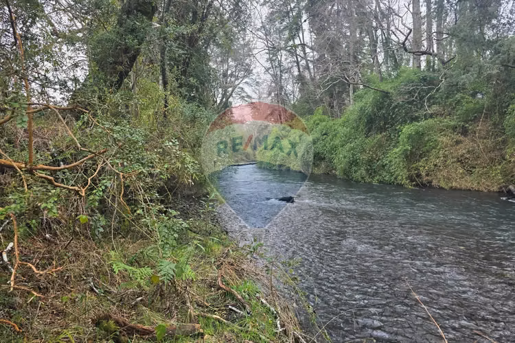 Venta parcelas ideal para inversión, villarrica