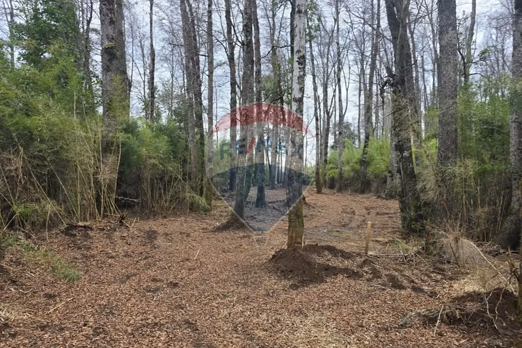 Venta parcelas ideal para inversión, villarrica