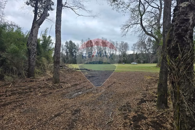 Venta parcelas ideal para inversión, villarrica
