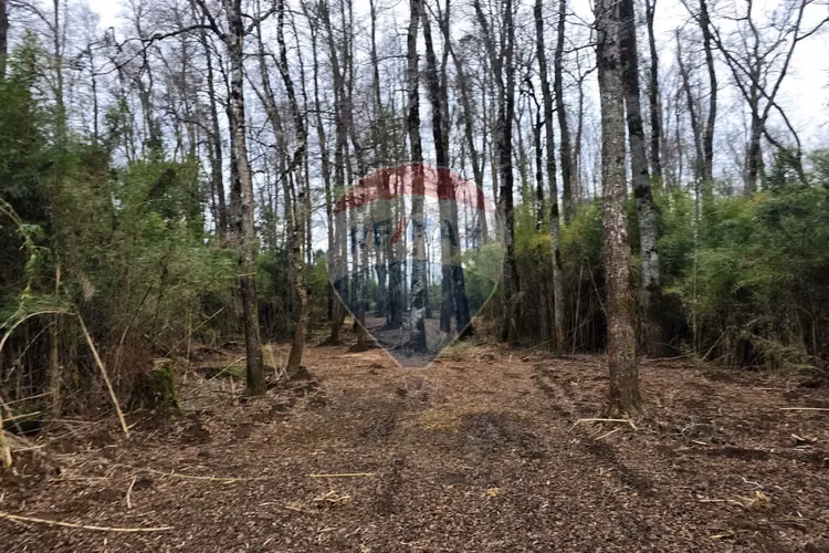 Venta parcelas ideal para inversión, villarrica