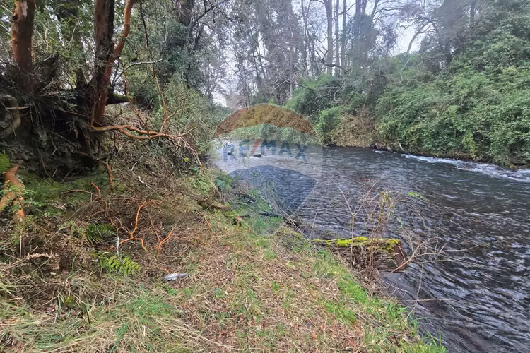 Venta parcelas ideal para inversión, villarrica