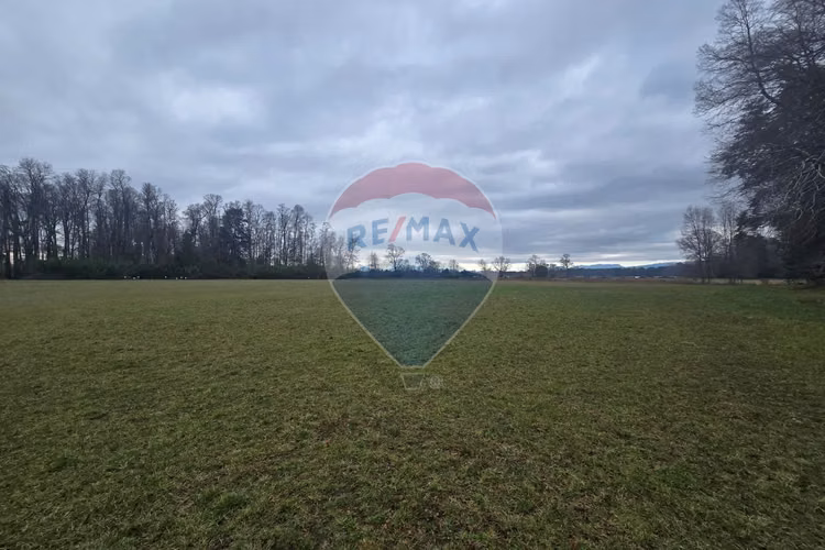 Venta parcelas ideal para inversión, villarrica
