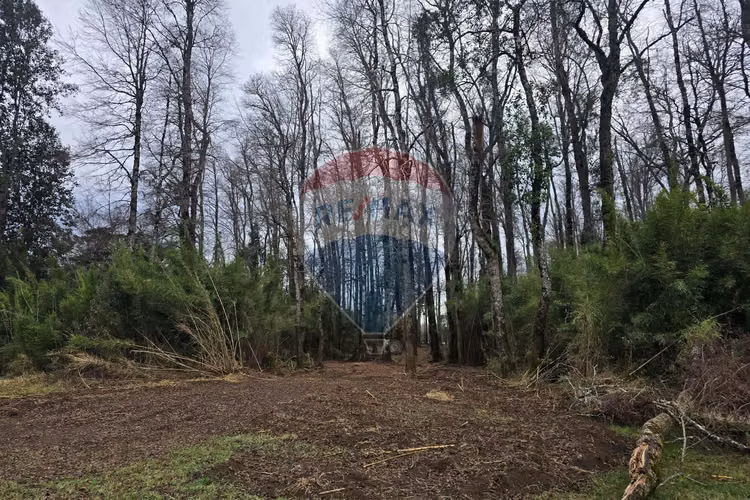 Venta parcelas ideal para inversión, villarrica