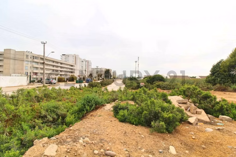 Se vende Terreno en Avenida Pacifico, La Serena - Imagen 9