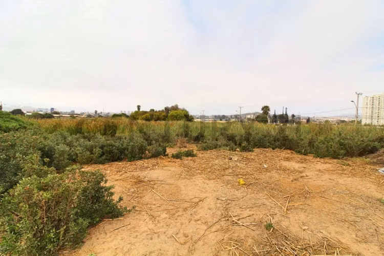 Se vende Terreno en Avenida Pacifico, La Serena - Imagen 10