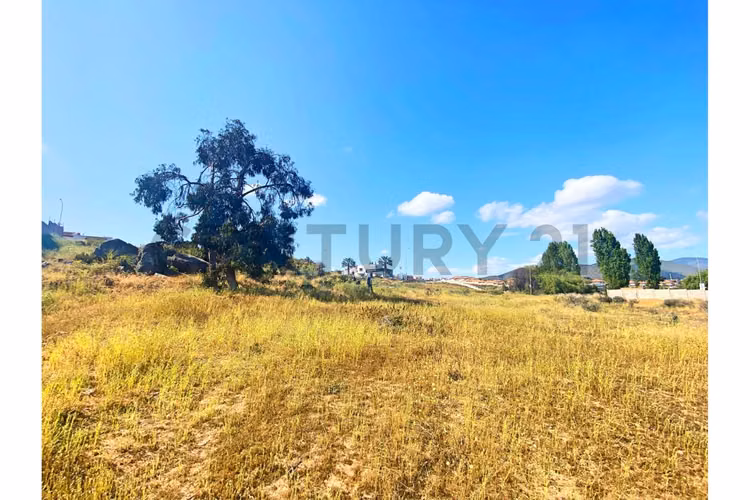 Se vende terreno de 9.000 mt2 en Peñuelas