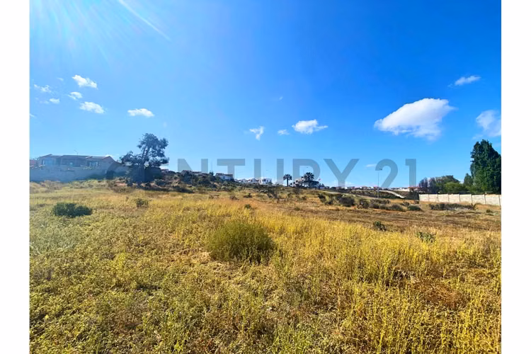 Se vende terreno de 9.000 mt2 en Peñuelas