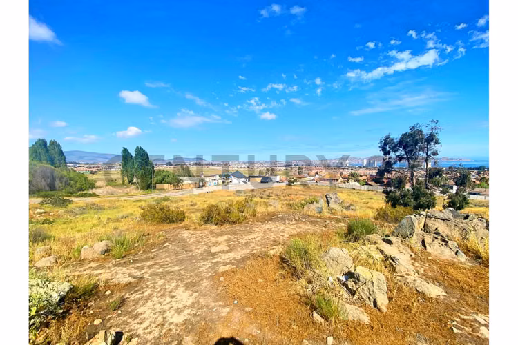 Se vende terreno de 9.000 mt2 en Peñuelas