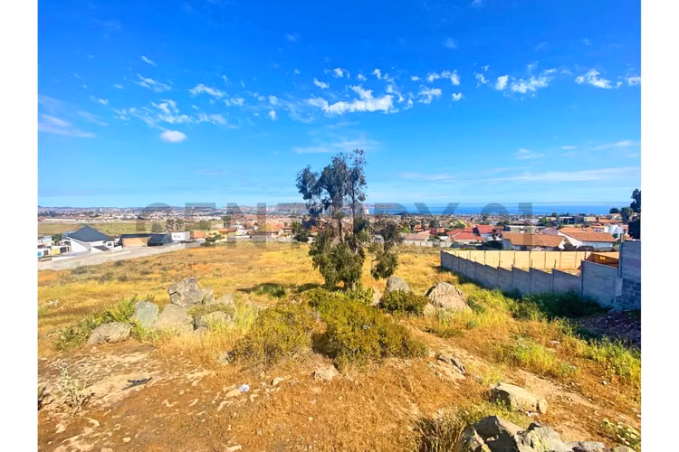 Se vende terreno de 9.000 mt2 en Peñuelas