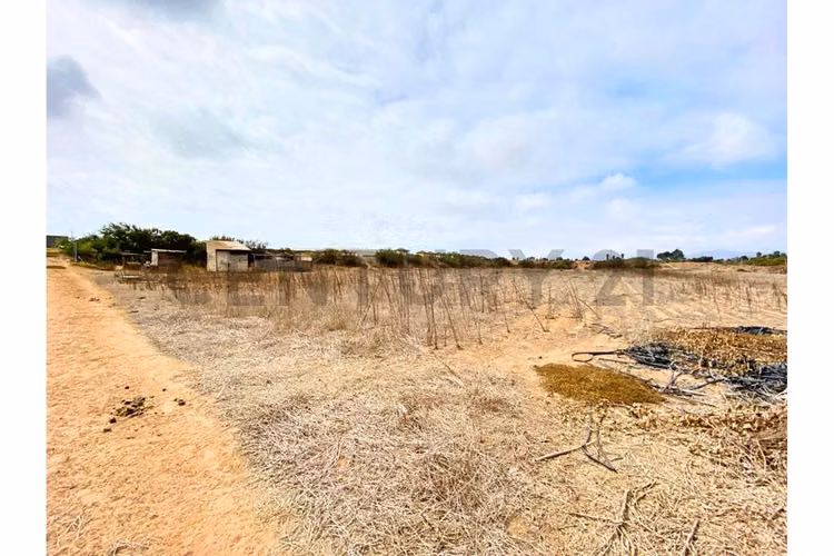 Se vende terreno de 2 Ha a 2,9UF/mt2 en Ulriksen. - Imagen 9