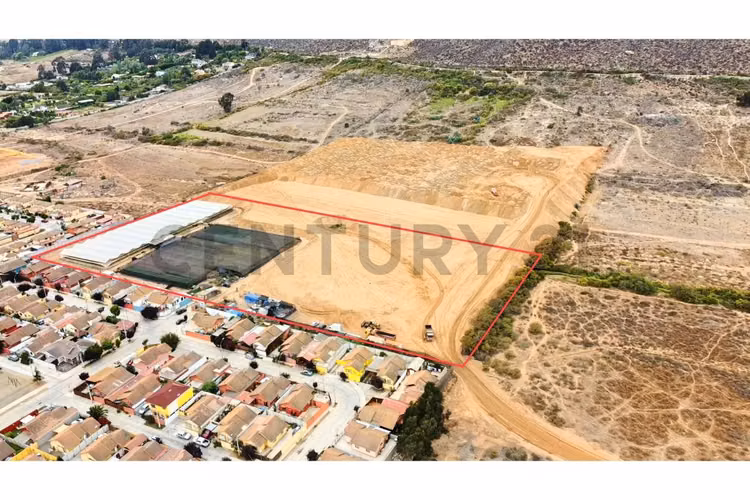 Se vende terreno de 2 Ha a 2,9UF/mt2 en Ulriksen.