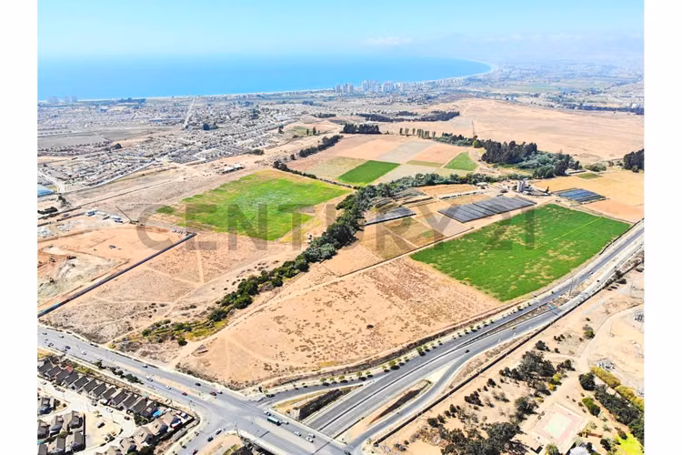 Se vende terreno de 8 Ha. En La Cantera, Coquimbo.