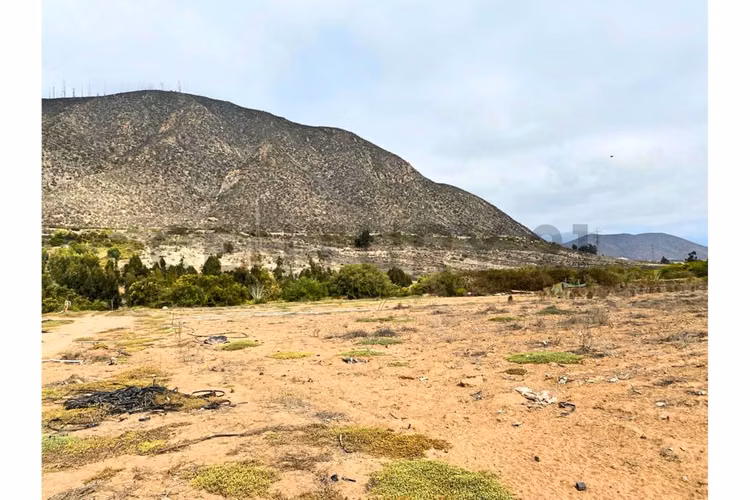Se vende terreno de 10 Ha a 1.7UF/mt2 en Ulriksen. - Imagen 12