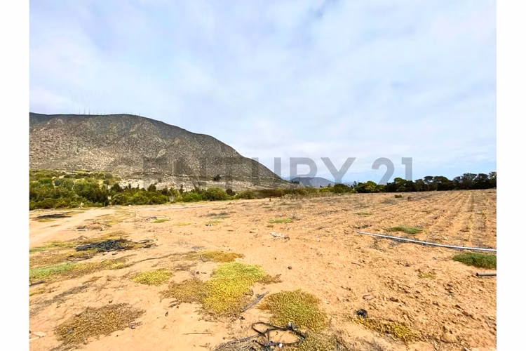 Se vende terreno de 10 Ha a 1.7UF/mt2 en Ulriksen. - Imagen 13