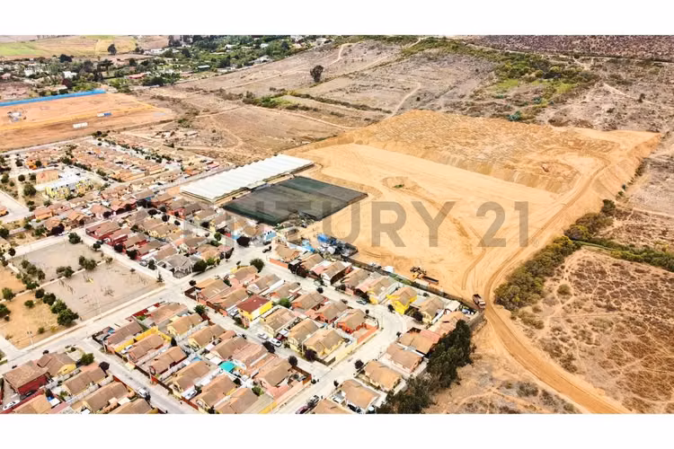 Se vende terreno de 10 Ha a 1.7UF/mt2 en Ulriksen. - Imagen 7