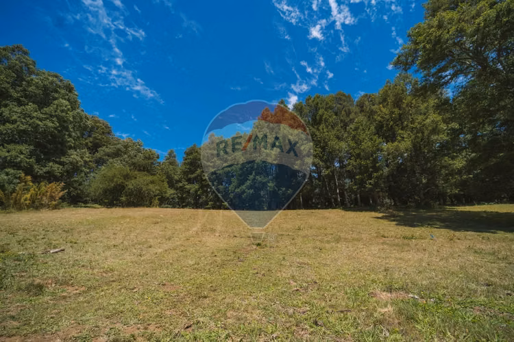 Venta exclusivas parcelas en laguna curilafquen