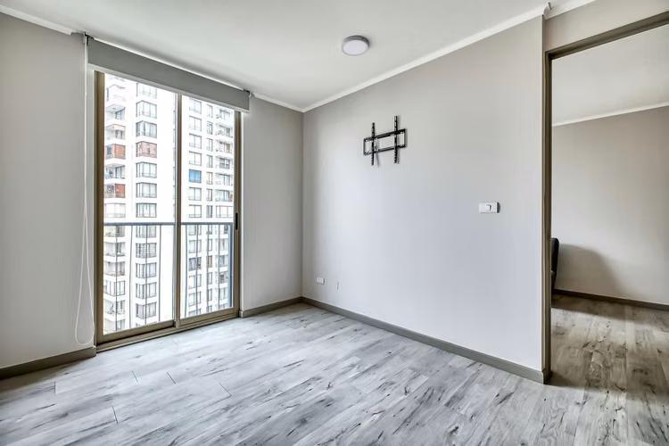 Vicuña Urban [1322-1]