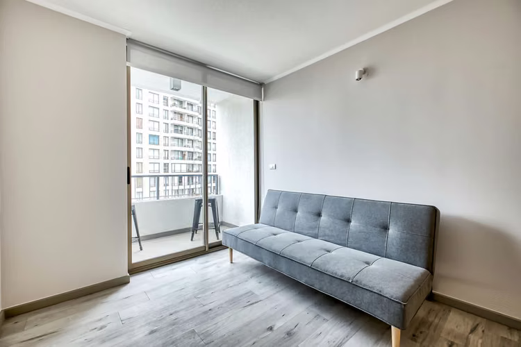 Vicuña Urban [1322-1]
