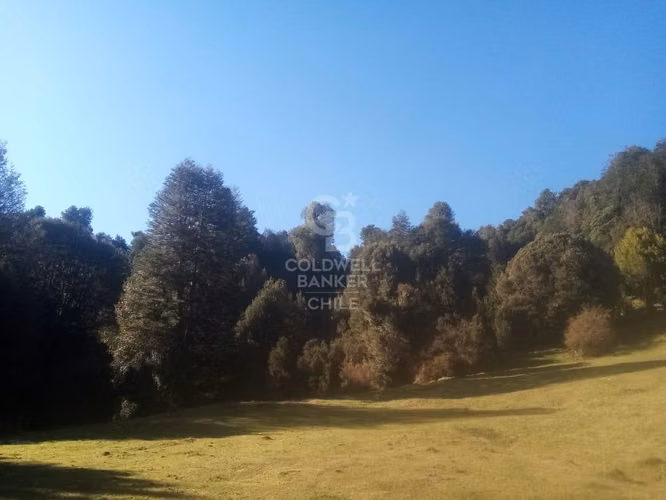 Campo de 8,300 hectáreas en Puyehue.