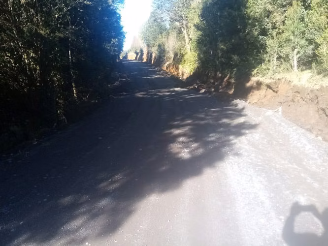 Campo de 8,300 hectáreas en Puyehue.