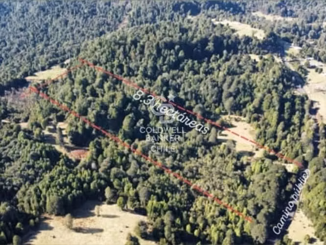 Campo de 8,300 hectáreas en Puyehue.