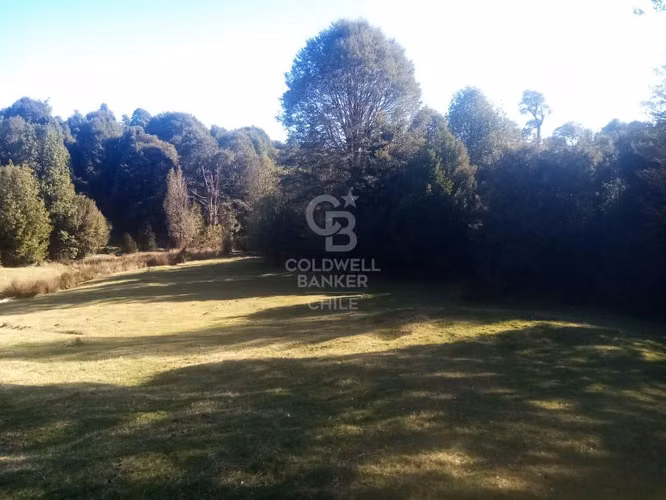 Campo de 8,300 hectáreas en Puyehue.