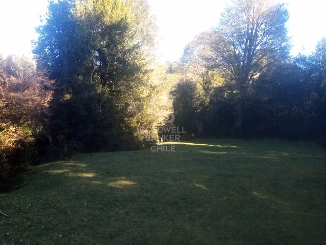 Campo de 8,300 hectáreas en Puyehue.