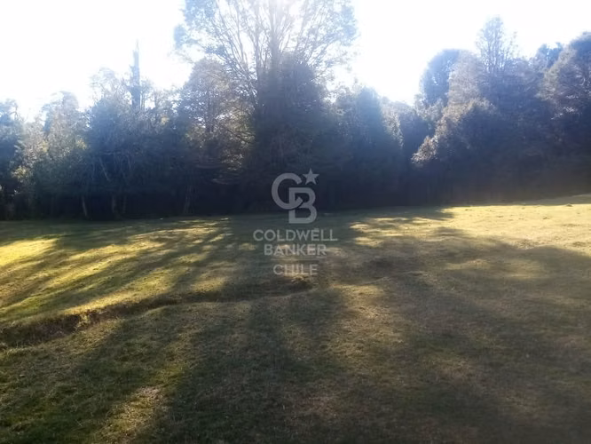 Campo de 8,300 hectáreas en Puyehue.