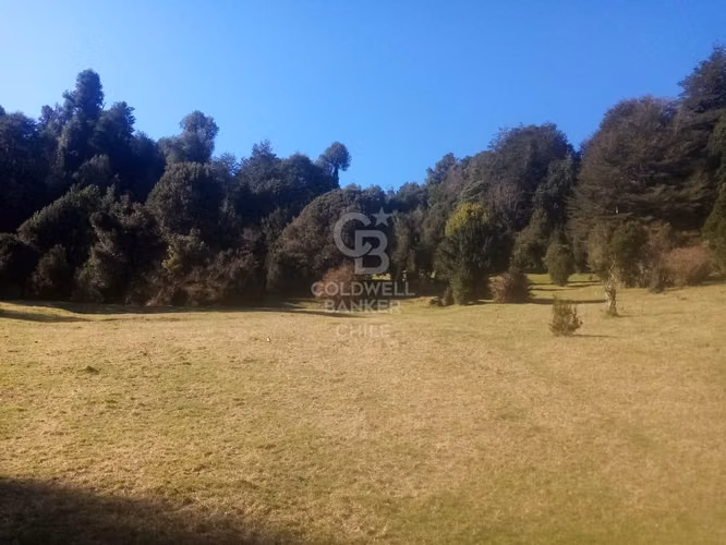 Campo de 8,300 hectáreas en Puyehue.