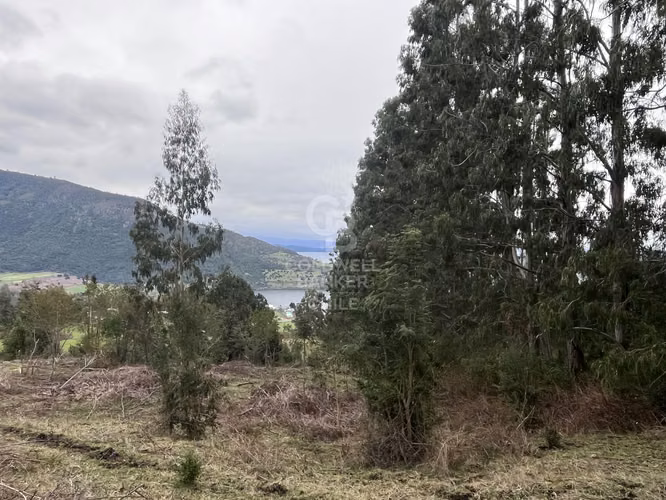 Campo con Vista Privilegiada.