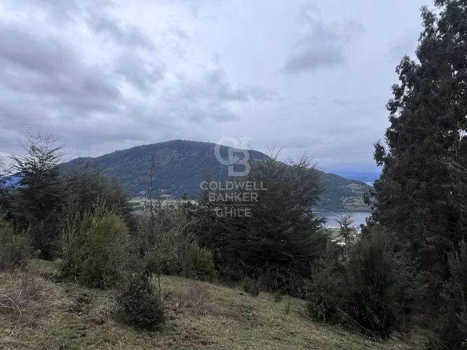 Campo con Vista Privilegiada.