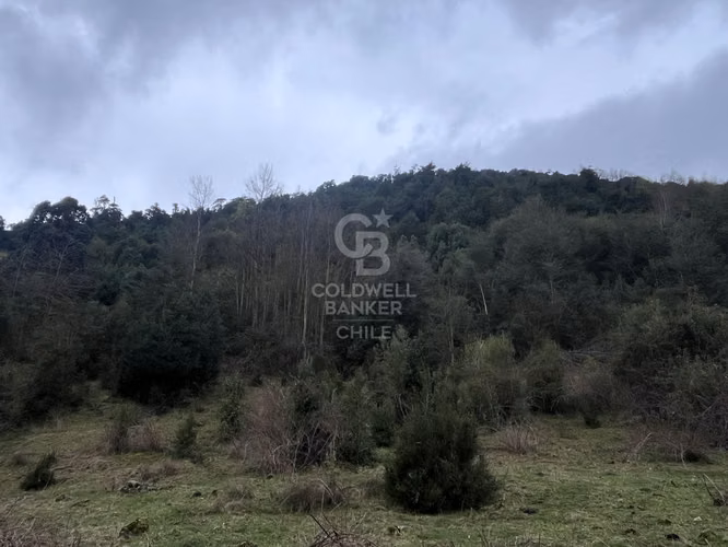 Campo con Vista Privilegiada.