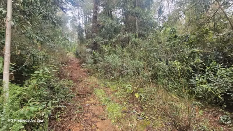 Sitio PUNUCAPA