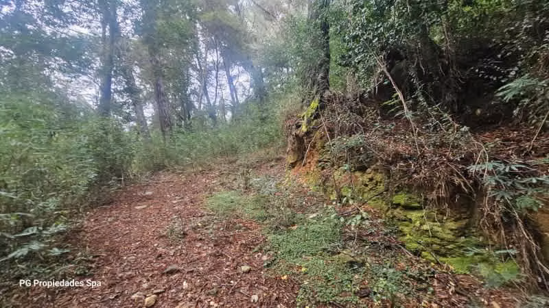 Sitio PUNUCAPA