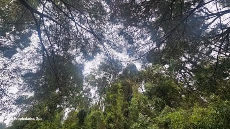 Sitio PUNUCAPA