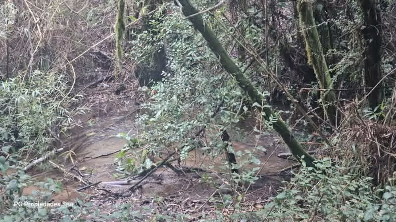Sitio PUNUCAPA