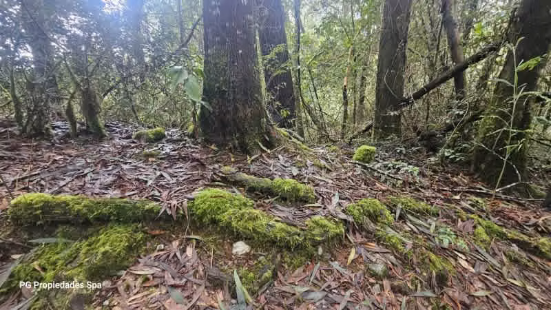 Sitio PUNUCAPA